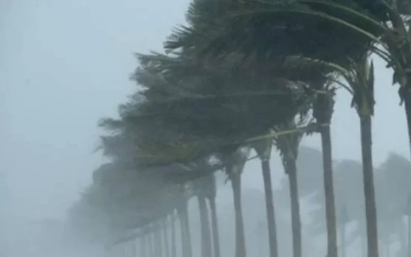 توقعات دقيقة.. أماكن سقوط الأمطار اليوم الأربعاء